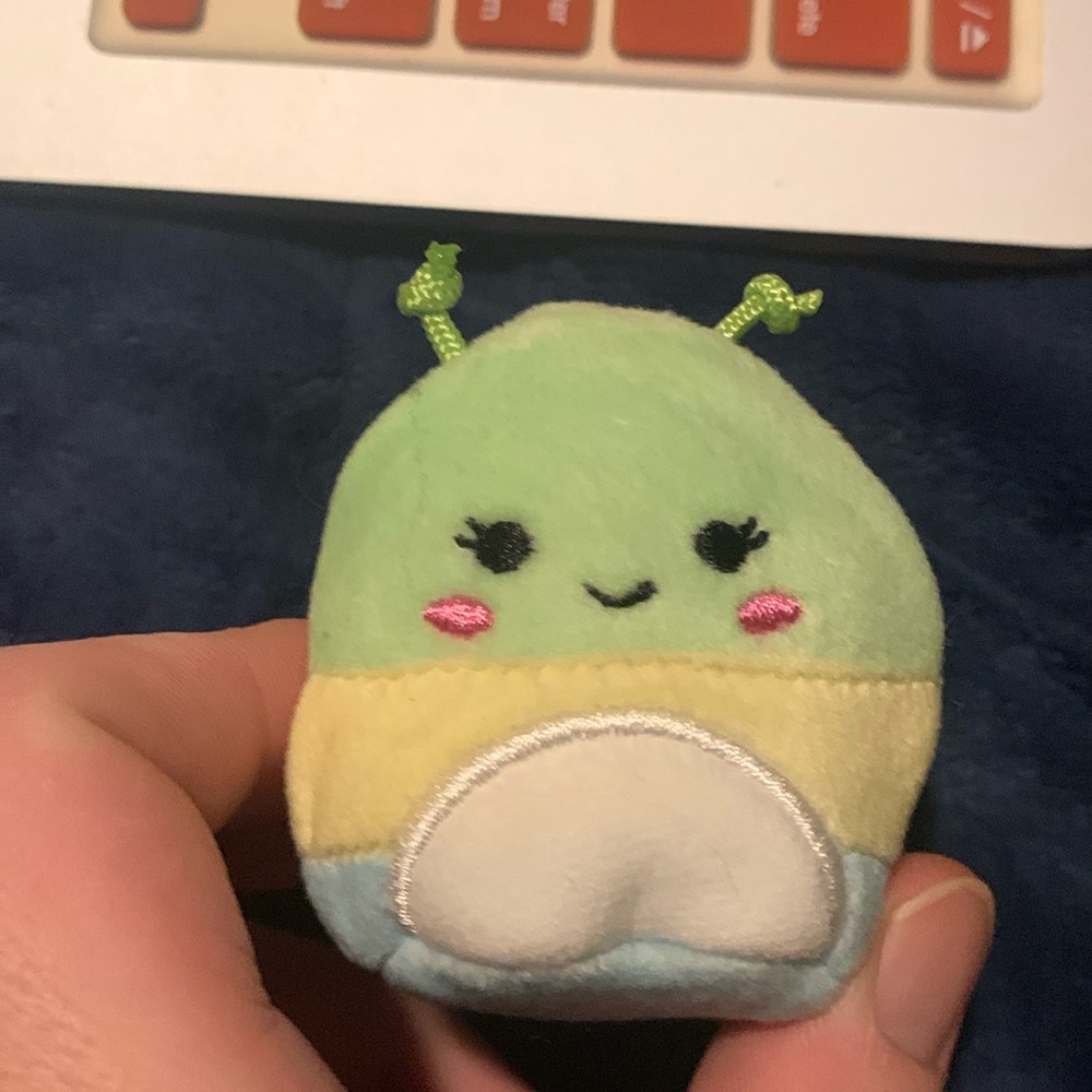 Rutabaga SV squishmallow